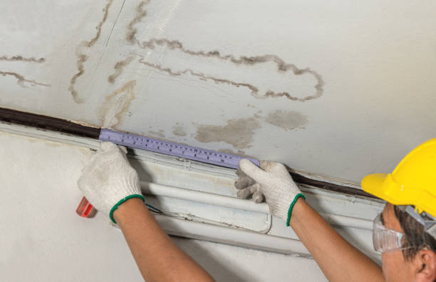 Reliable Mold Remediation contractor in Mohler, WA by Water Damage Irwin